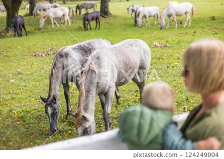 A woman and child are observing a group of horses grazing in a green field in a rural area, surrounded by plants and grass in the ecoregion 124249004