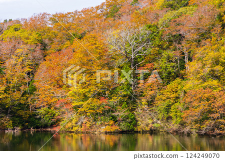 世界遺產白神山地的秋天：十二湖、落口池的紅葉 124249070