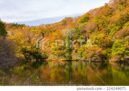 世界遺產白神山地的秋天:十二湖、落口池的紅葉 世界遺產白神山地的秋天:十二湖、落口池的紅葉 124249071