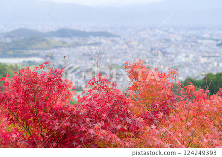 [京都府] 嵐山秋葉 124249393