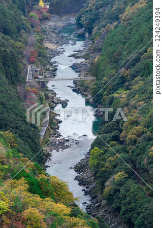 [Kyoto Prefecture] Arashiyama autumn leaves 124249394