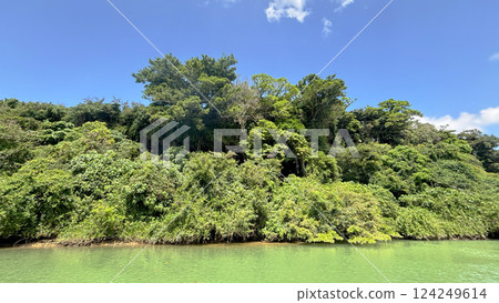 從河流看沖繩的自然風光 3 從河流看沖繩的自然風光 3 124249614