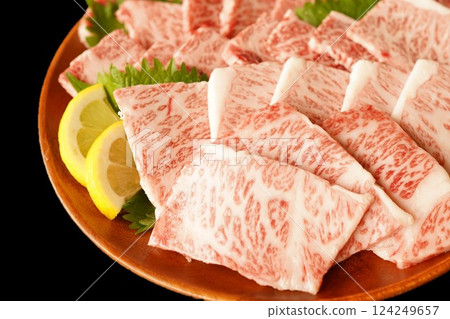 Japanese Black Beef Kalbi for Yakiniku Japanese Black Beef Kalbi for Yakiniku 124249657