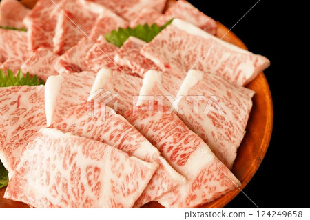 Japanese Black Beef Kalbi for Yakiniku Japanese Black Beef Kalbi for Yakiniku 124249658