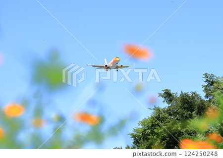 一架客機飛越花田 124250248