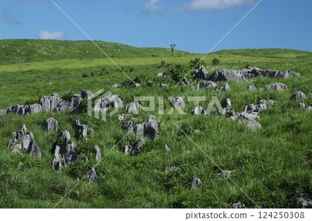 Akiyoshidai 6 124250308