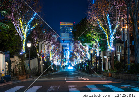 Foreigner's Residence District at Night Foreigner's Residence District at Night 124250812