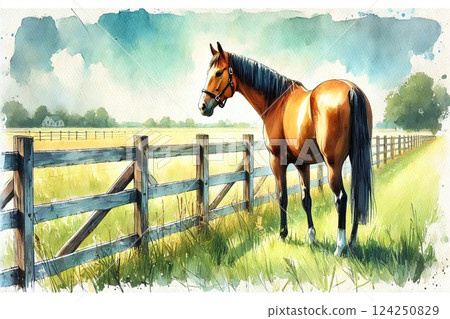 牧場風光，薩拉伯里德 124250829