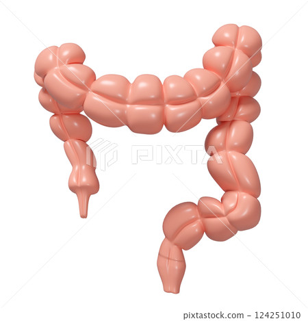 3d healthy colon isolated. health check concept, 3d illustration render 124251010