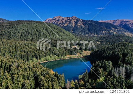 Image of the blacklake located among the pine forests in the province of Artvin. 124251801