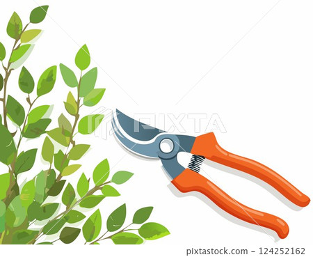 Pruning plant with pruning shears on white background, copy space, home garden theme Pruning plant with pruning shears on white background, copy space, home garden theme 124252162