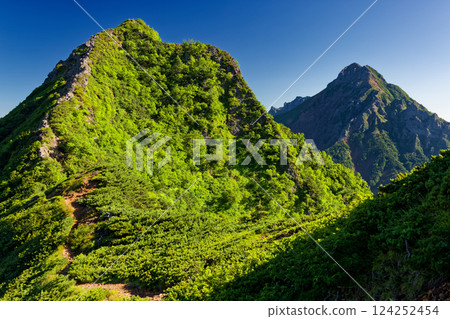 Mount Asahi and Mount Aka seen from the ridgeline of Mount Gongen in the Yatsugatake mountain range 124252454
