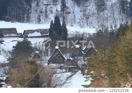 Shirakawa-go Gassho-style buildings as seen from the Ogimachi Castle Ruins Observatory 124252556