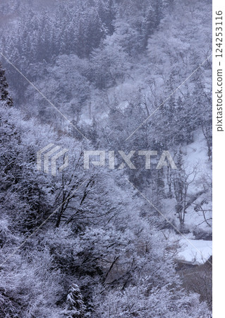 飄落的雪花和美麗的雪景 124253116