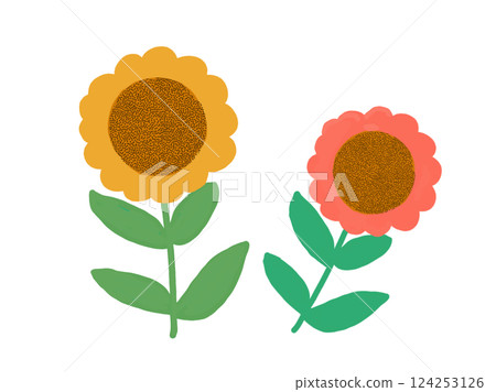 可愛的向日葵 可愛的向日葵 124253126