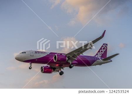 黃昏時分的仙台機場，飛機降落，宮城縣名取市 124253524