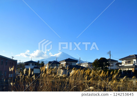 View from the train window on JR Central's Gotemba Line from Iwanuma Station to Ashigara Station (December 2022) 124253645