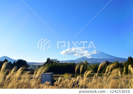 View from the train window on JR Central's Gotemba Line from Iwanuma Station to Ashigara Station (December 2022) 124253658