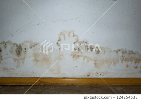 Flooding rainwater or floor heating systems, causing damage, peeling paint and mildew. Flooding rainwater or floor heating systems, causing damage, peeling paint and mildew. 124254535
