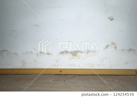 Flooding rainwater or floor heating systems, causing damage, peeling paint and mildew. 124254539
