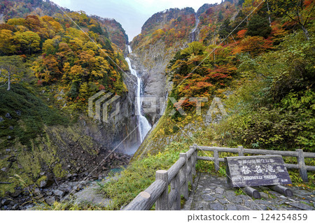 The tallest waterfall in Japan. Shomyo Falls in full autumn color 124254859