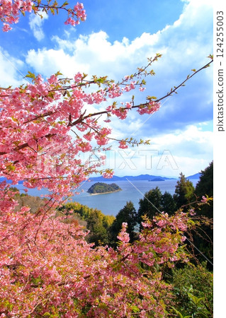 透過河津櫻花從大芝島望去的心島 飛島街道 124255003