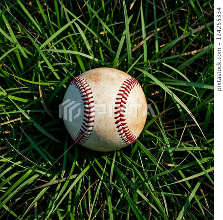 被遺忘的棒球 124255334