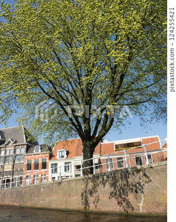 the city of Haarlem in the netherlands 124255421