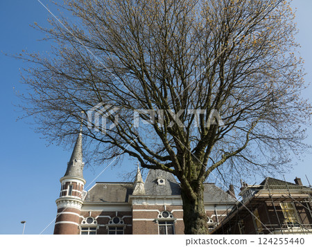 the city of Haarlem in the netherlands the city of Haarlem in the netherlands 124255440