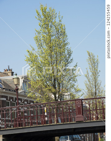 the city of Haarlem in the netherlands the city of Haarlem in the netherlands 124255459