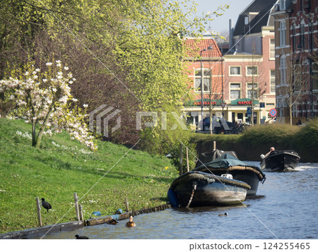 the city of Haarlem in the netherlands 124255465