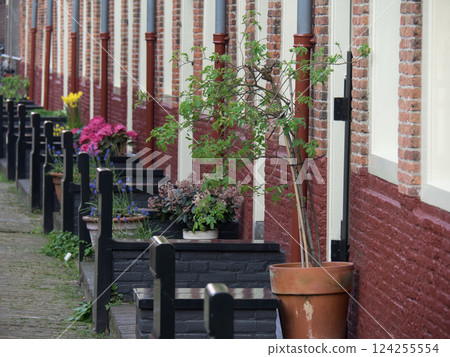 Haarlem city in the netherlands Haarlem city in the netherlands 124255554