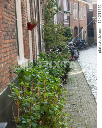 Haarlem city in the netherlands Haarlem city in the netherlands 124255561