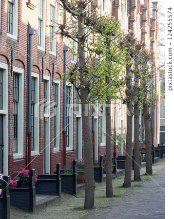 Haarlem city in the netherlands Haarlem city in the netherlands 124255574
