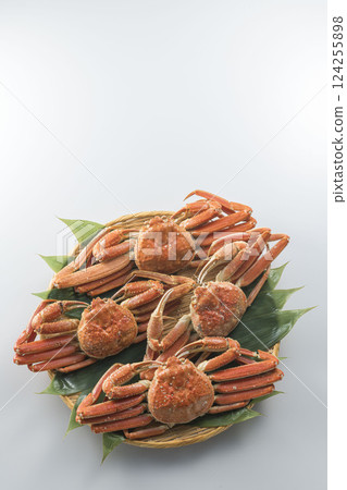Boiled snow crab 124255898