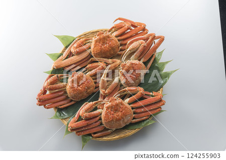 Boiled snow crab 124255903