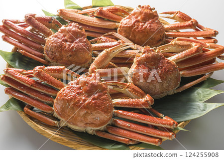 Boiled snow crab Boiled snow crab 124255908