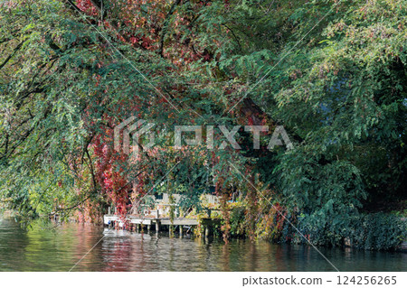 the city of Hamburg at the alster river in germany the city of Hamburg at the alster river in germany 124256265