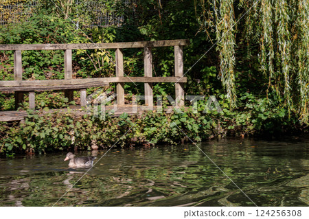 the city of Hamburg at the alster river in germany 124256308