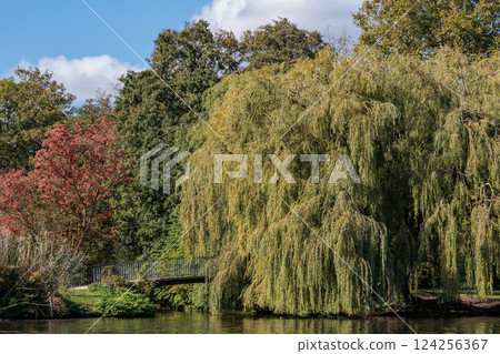 the city of Hamburg at the alster river in germany 124256367
