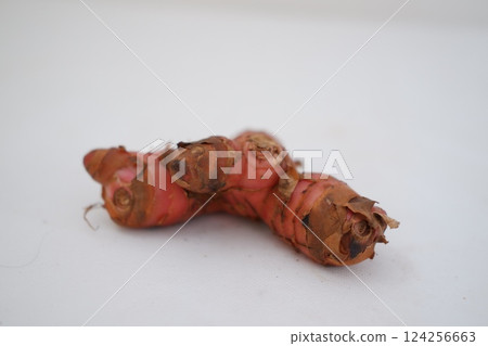 Fresh ginger root or rhizome isolated on white background cutout 124256663