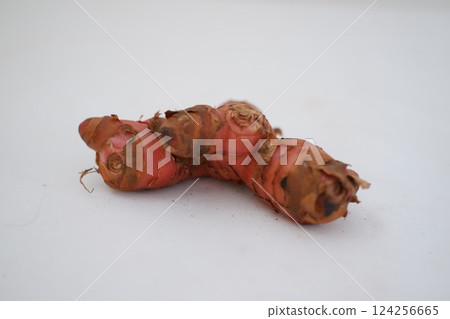 Fresh ginger root or rhizome isolated on white background cutout 124256665