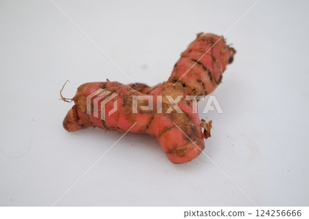 Fresh ginger root or rhizome isolated on white background cutout Fresh ginger root or rhizome isolated on white background cutout 124256666