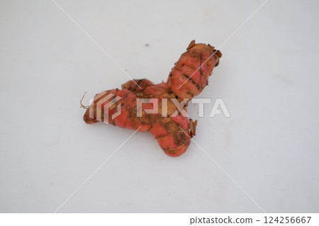 Fresh ginger root or rhizome isolated on white background cutout 124256667