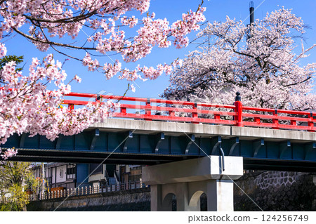 210411 Nakahashi Sakura g011 210411 Nakahashi Sakura g011 124256749