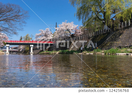210411 Nakahashi Sakuraz144 124256768