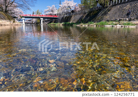 210411 中橋櫻 z150 124256771