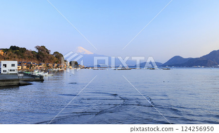 Mount Fuji seen from Suruga Bay 124256950