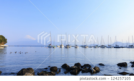 從遊艇港眺望富士山 124257105