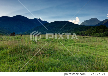 夏季從八岳牧場眺望八嶽山脈與赤岳 124257121
